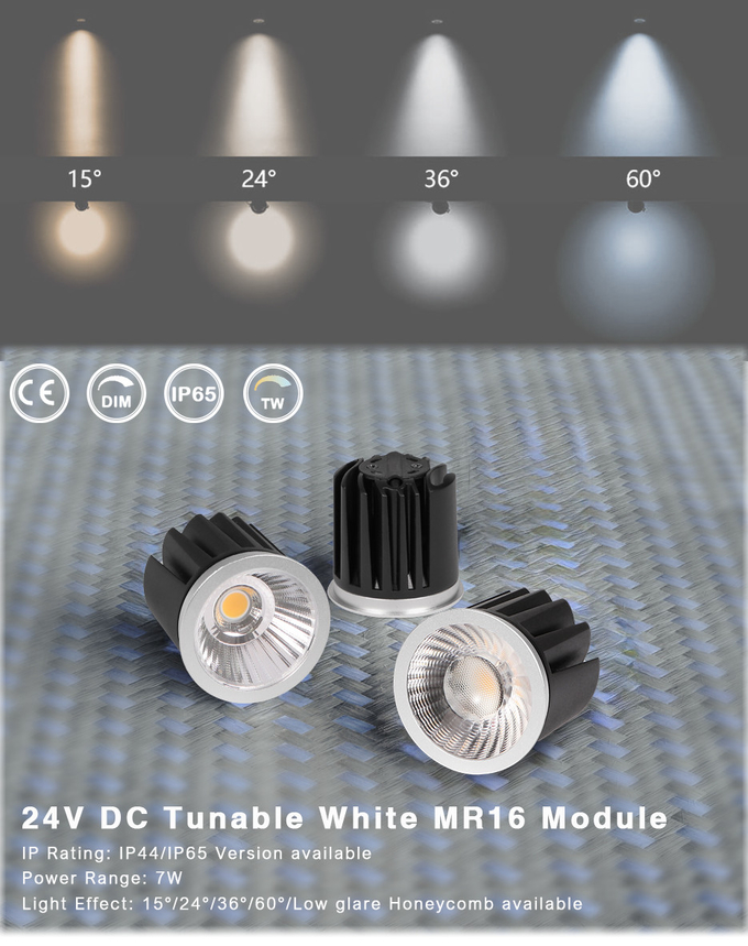 Low Voltage White MR16 Module 2700K-6500K Tunable Spotlight Module