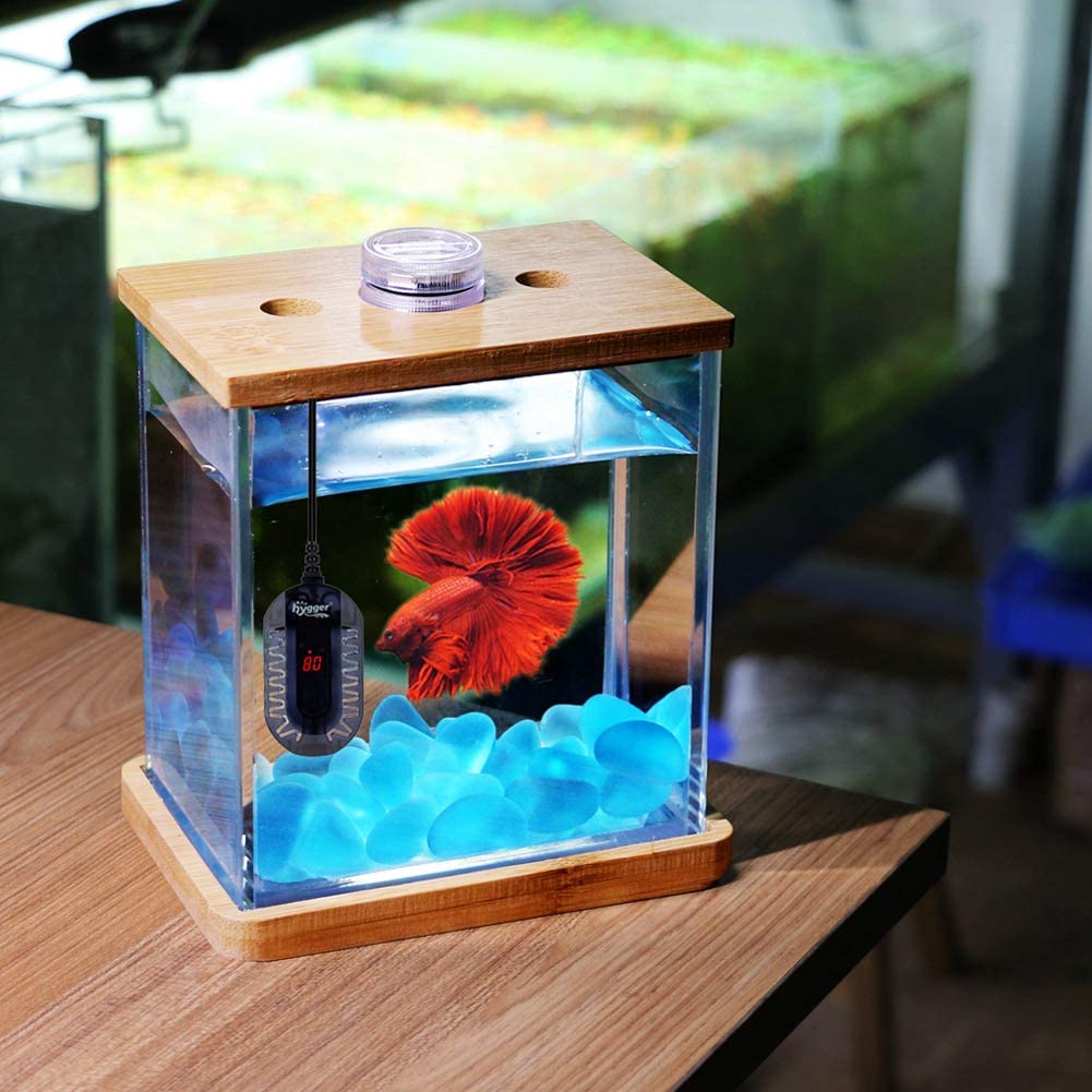50 Watt Automatic Aquarium Heater