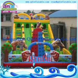 China Theme park kids indoor playground inflatable bouncy castle on sale