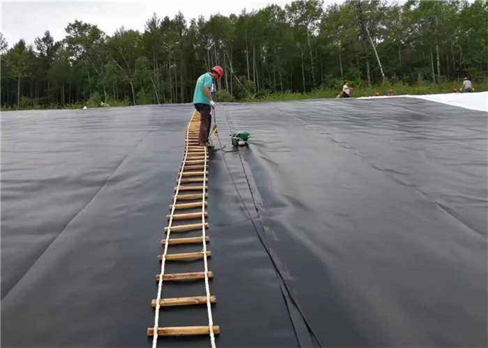 Waterproof Plastic Pond Liner 1.5mm , Polyethylene Geomembrane