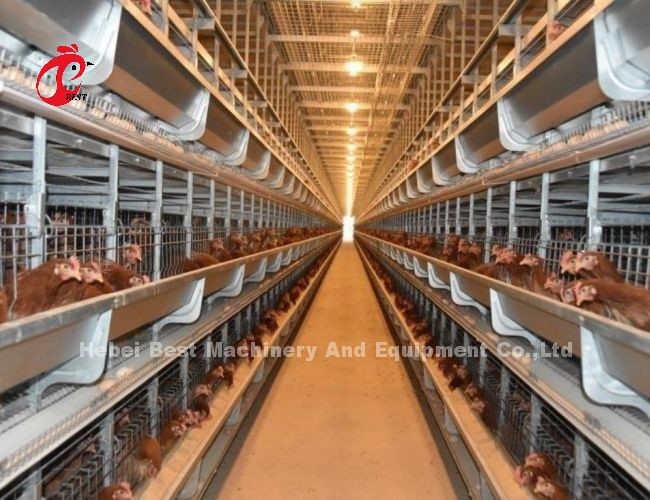 High Rearing Efficiency Poultry Farming Cage System With 2.8mm-3.5mm Cage Wire Diameter Iris