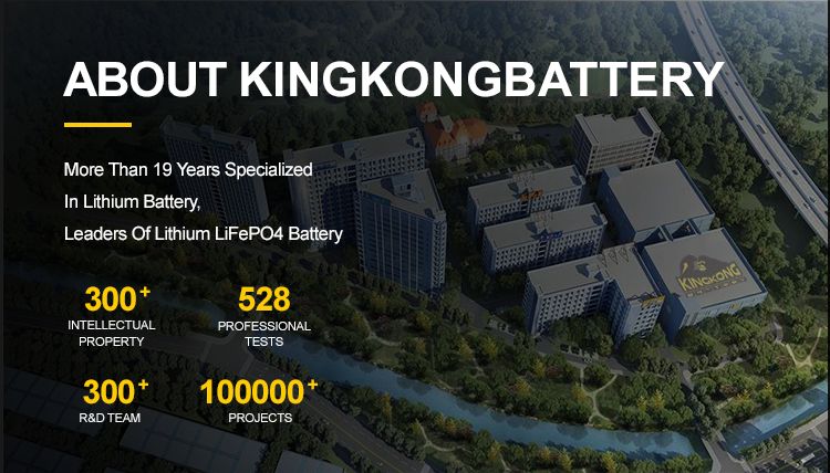 Y Pre-sales Project Design OEM Solar Controller for 500W/1000W Off-Grid Solar Generator