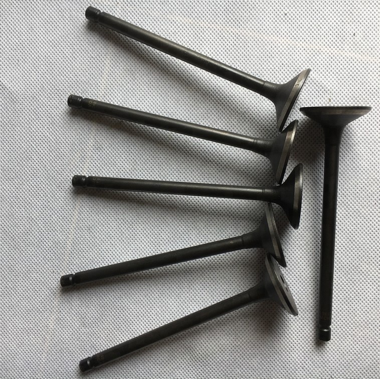 Intake And Exhaust Valve For Nissan CA16 Stainless Steel Engine Valve 13201-D0100