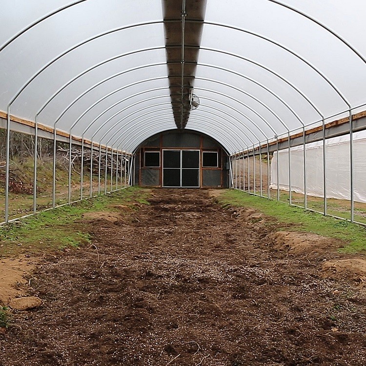 100 Micron PE Film Greenhouse Single Layer Plastic Tunnel Greenhouse