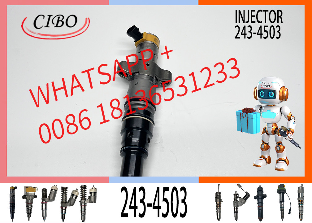 C7 Common Rail Injector 243-4502 10R-4761 243-4503 10R-4762 295-1409 10R-4762 295-1410 For engine