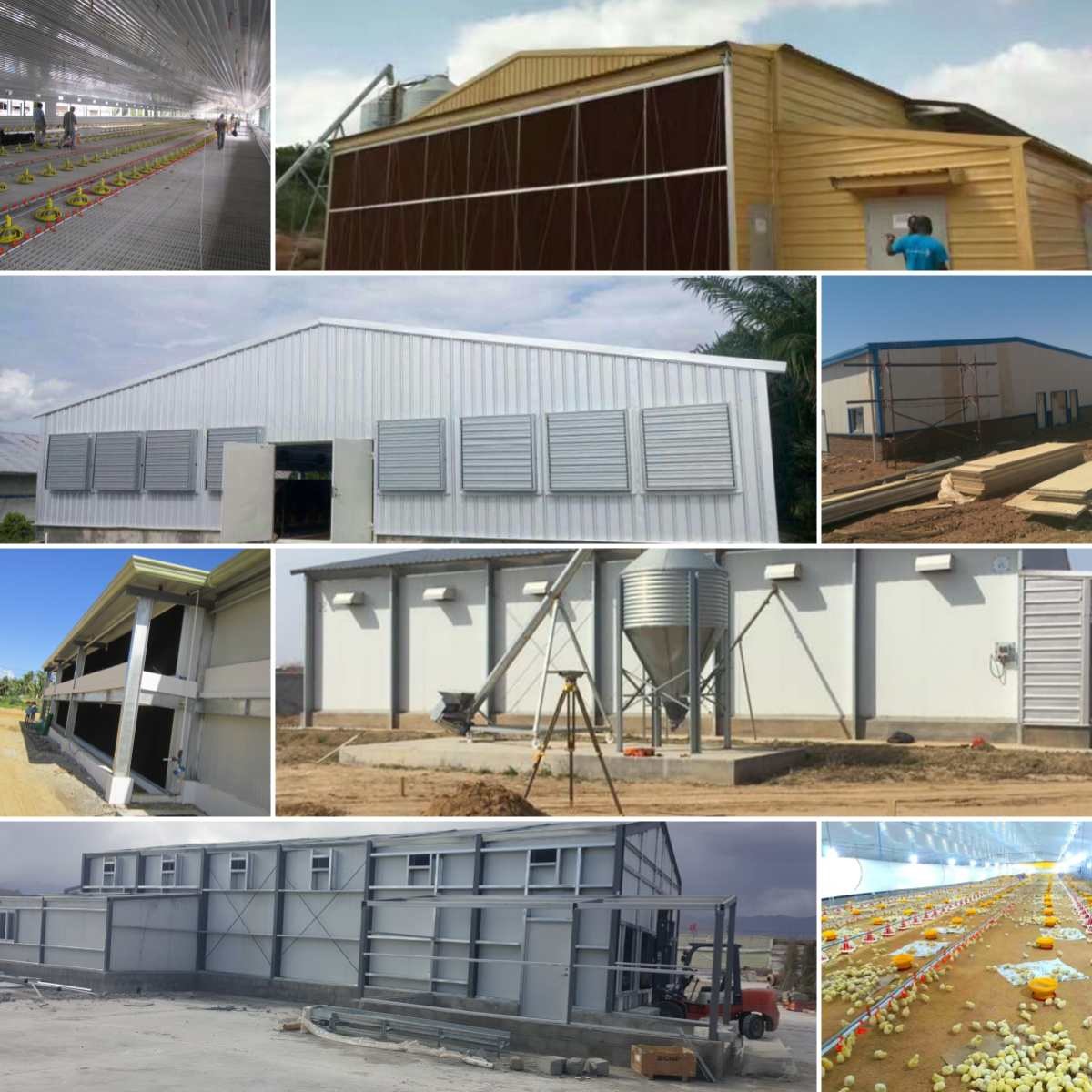 Galvanized Steel Structure Poultry House GB Standard