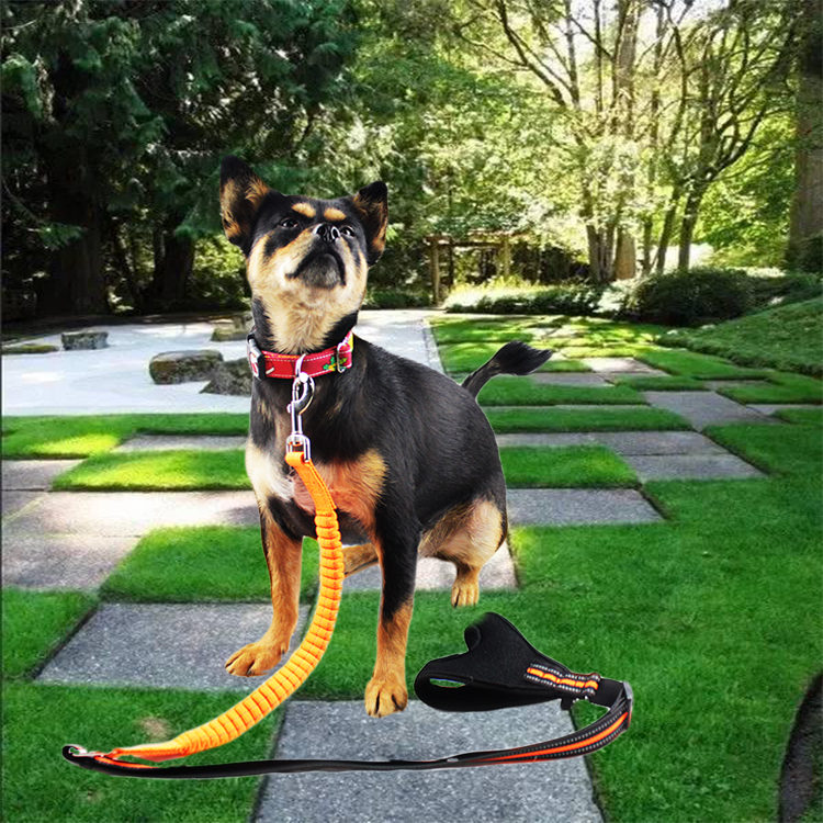 Fashion Custom Bungee Elastic Extended Retractable Nylon Braided Rope Dog Leash