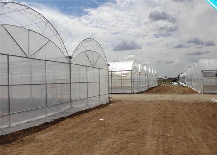 Large Plastic Cover Greenhouse Hot Galvanized Skeleton With Strong Ventilation Ability