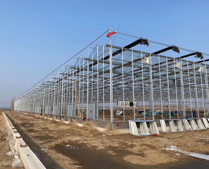 PC Plastic Polycarbonate Sheet Multi Span Hydroponic Greenhouse