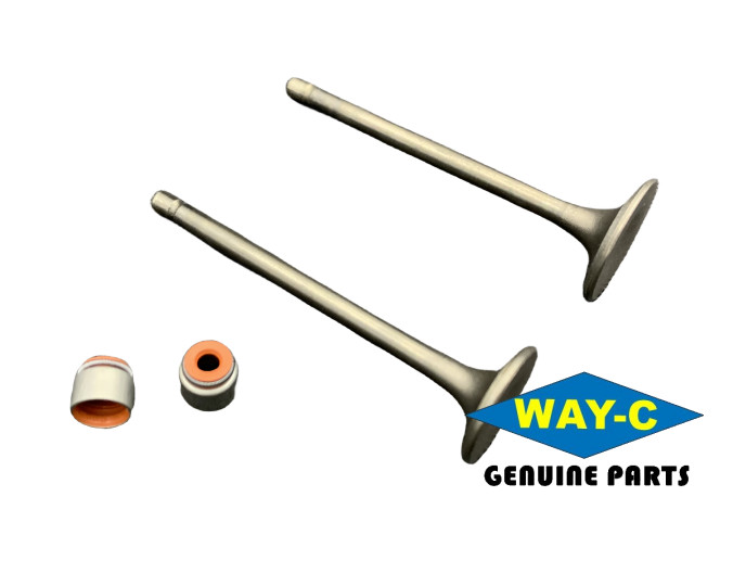 Motorcycle Engine Intake And Exhaust Valves 12911H16200H000 / 12912H16200H000
