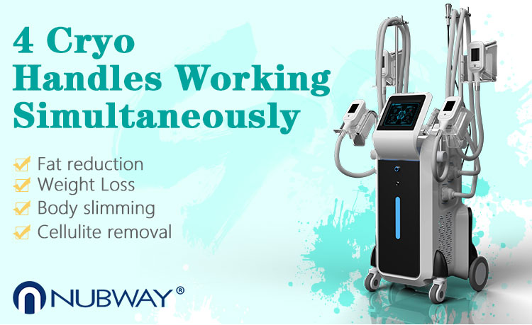 Vertical 4 handles fat freezing cryolipolysis body slimming machine for beauty salon