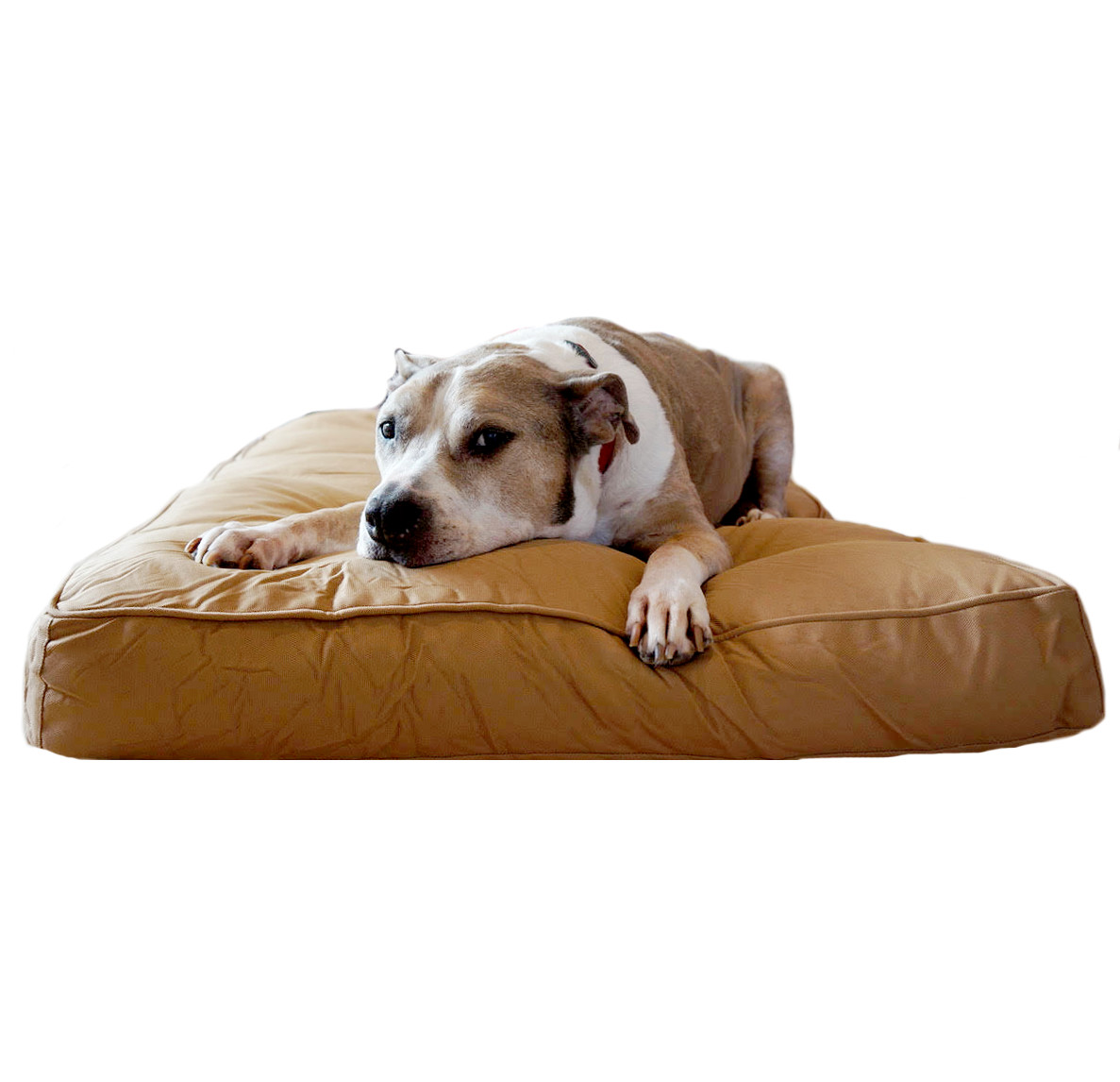 Memory Foam Chew Resistant Dog Bed , 52 * 34 * 5mm Anti Chew Dog Bed Removable