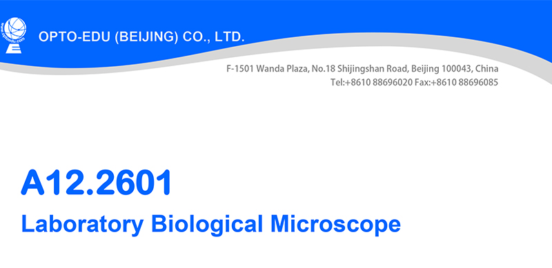 LED A12.2601-BT 400X Student Compound Microscope WF10x High Precision