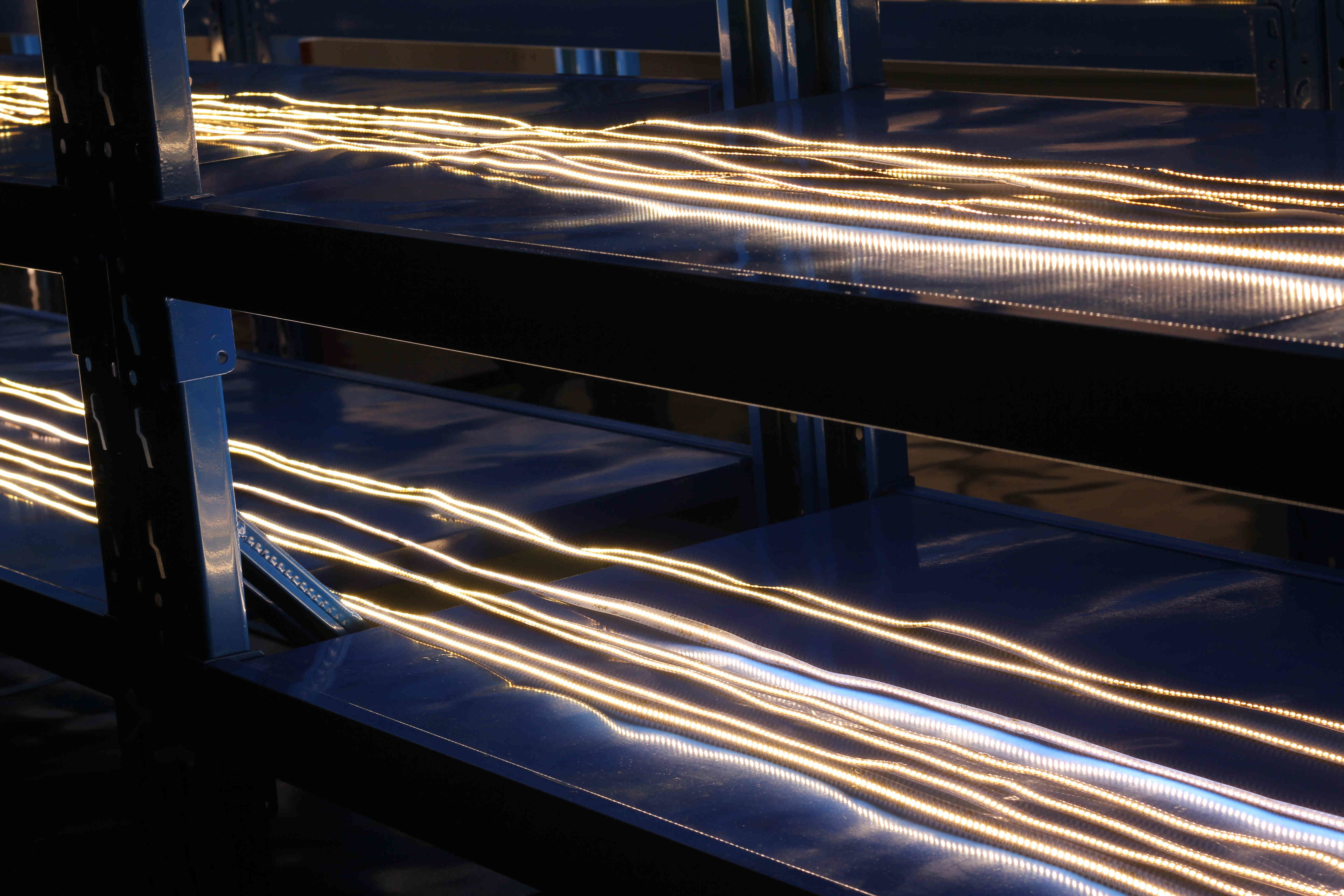 RGBW SMD5050 IP20 19.2W 45lm/w Flexible LED Strip Lights