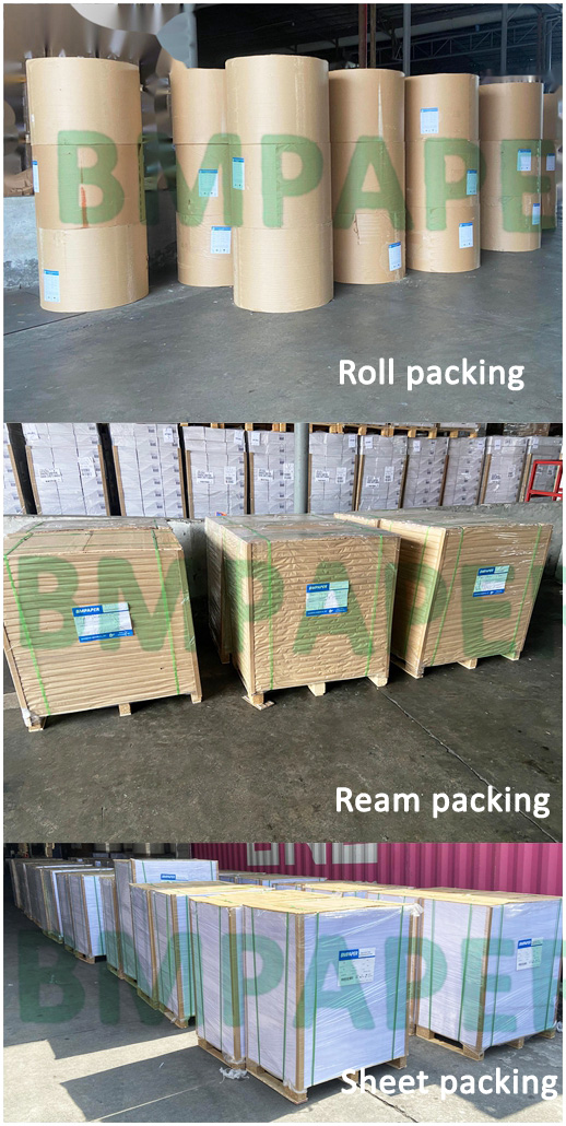Top White Coated Food Card Stock 215gsm Food Container Board