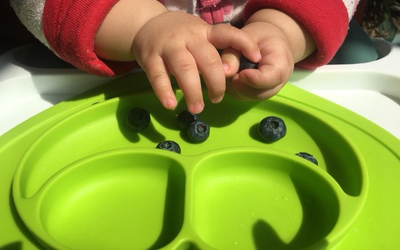 This product about healthy food plate toddler plates suction plate
