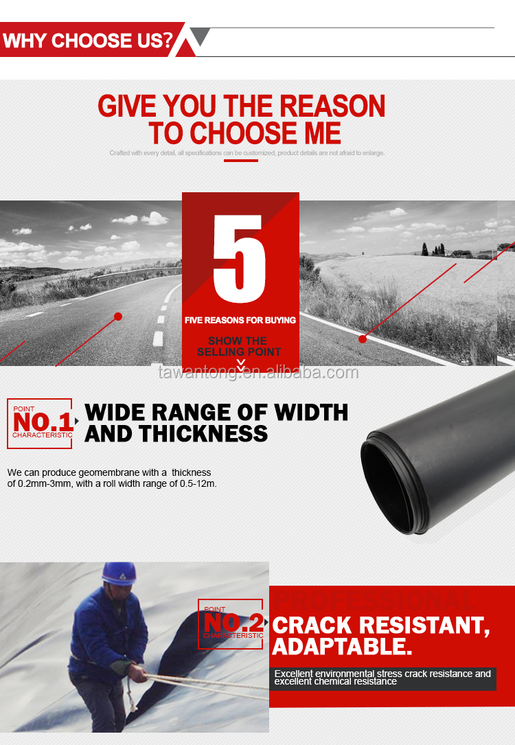 LDPE LLDPE HDPE Plastic Fish Ponds Waterproofing Membrane 0.5mm HDPE Geomembrane Sheet m2