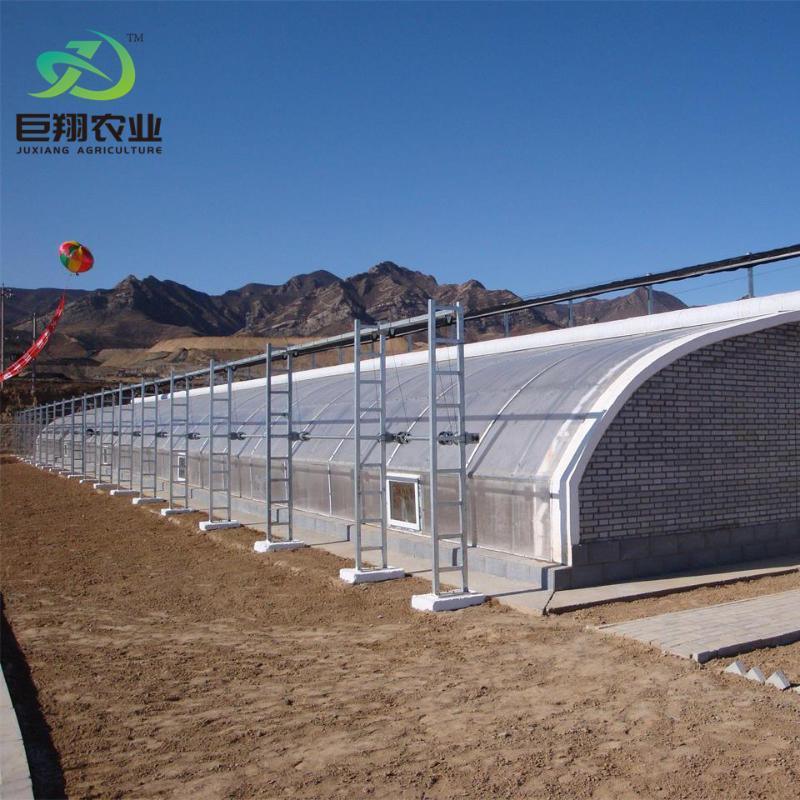 Aquaponics Sunlight Greenhouse