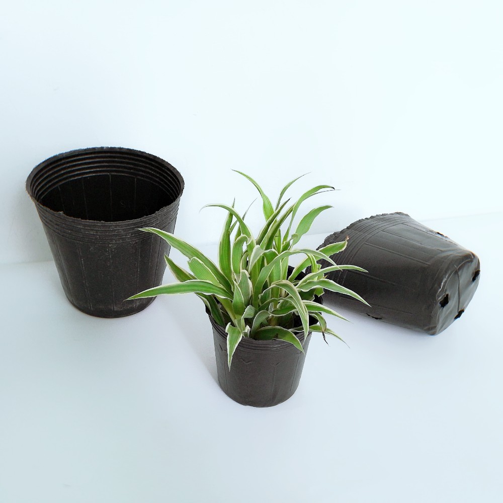 White Plastic Plant Pot Tree Air Prune Plant Root Growth Container Root Control pot