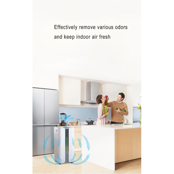 HOMEFISH Hepa Filter Commercial Air Purifier For Office Space OEM ODM