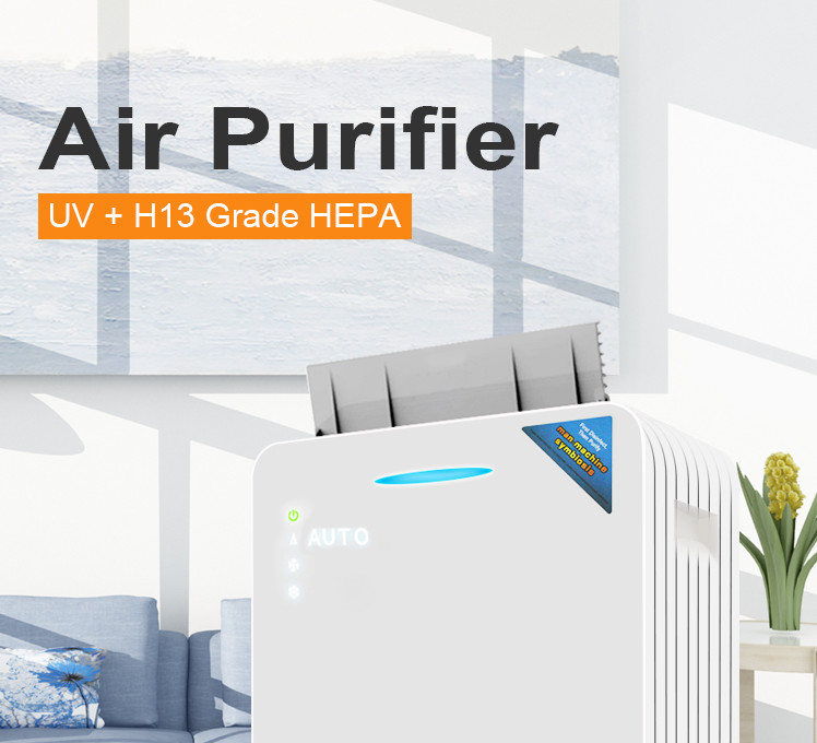 Smart Negative Ion Pollen 100W Hepa Air Purifier With Child Lock