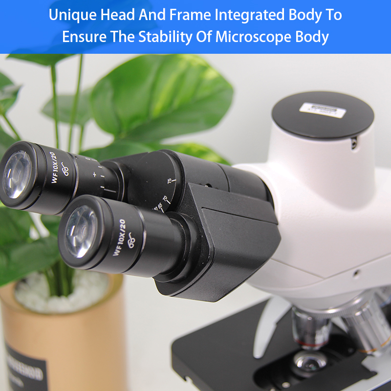 Multifunction Compound Optical Microscope Biological Monocular 1000x Microscope