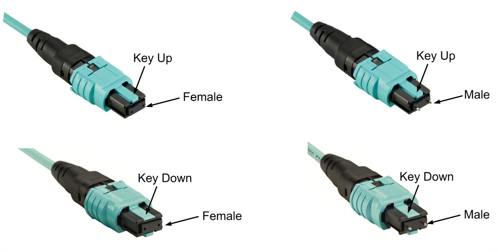 PVC LSZH 8/12/24 Fiber MPO Trunk Cable Type B Polarity SM MM