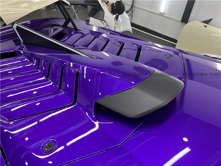 Dry Carbon Fiber Carbon Fiber Body Kit for Lamborghini Huracan STO Huracan STO Upgrades OEM-style Front Shovel Diffuser Body Kit