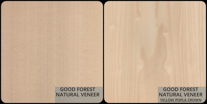 Mappa Tulip Natural Wood Veneer Boxwood Excellent Double Color