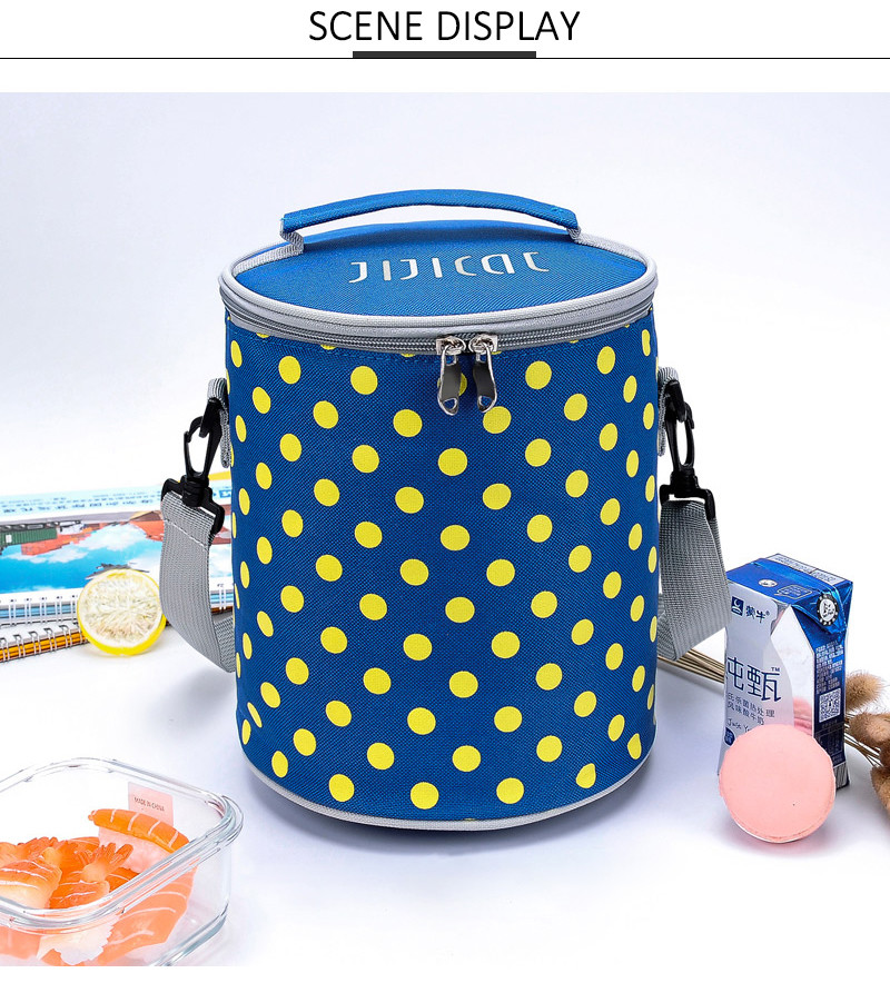 Polyester Picnic Cooler Bag