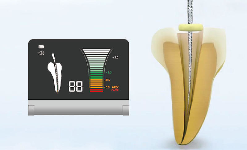 100V-240V Endodontic Motor With Apex Locator , Portable Apex Locator And Endo Motor
