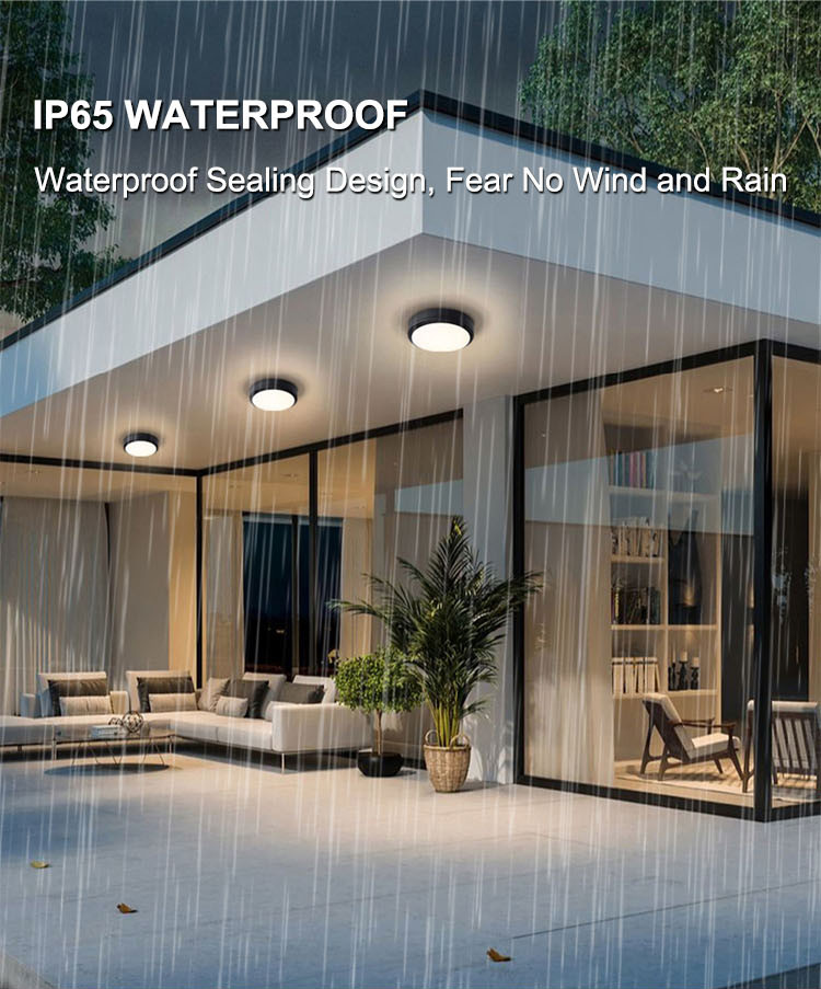 275mm IP65 Modern Round LED Ceiling Light Fixtures 100LM/W