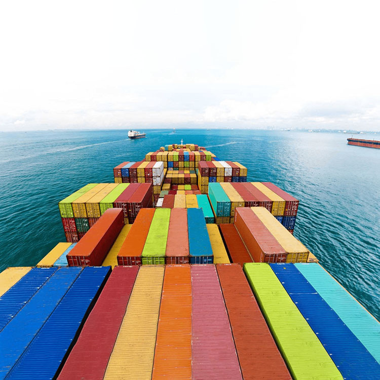 FCL LCL Professional Container International Sea Freight From China For Oversized Cargo