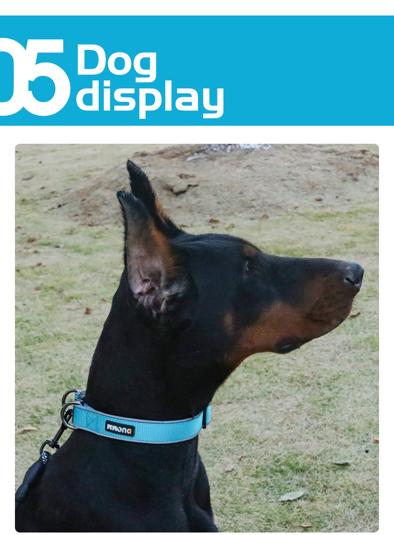 Pet Adjustable Dog Collar Reflective Collar For Medium And Large Dogs