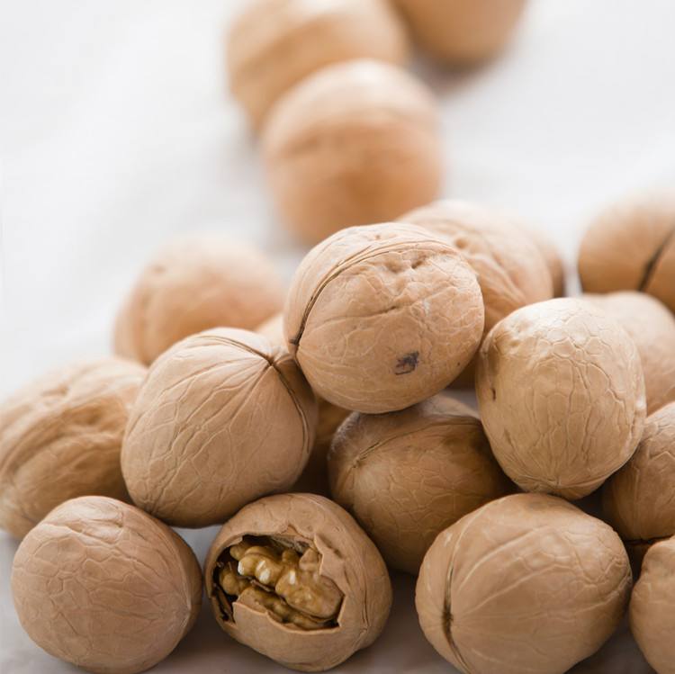 Chinese Factory bulk sale high-quality Xinjiang big walnuts in shelled and dried fruits and nuts Amazon’s best-selling products
