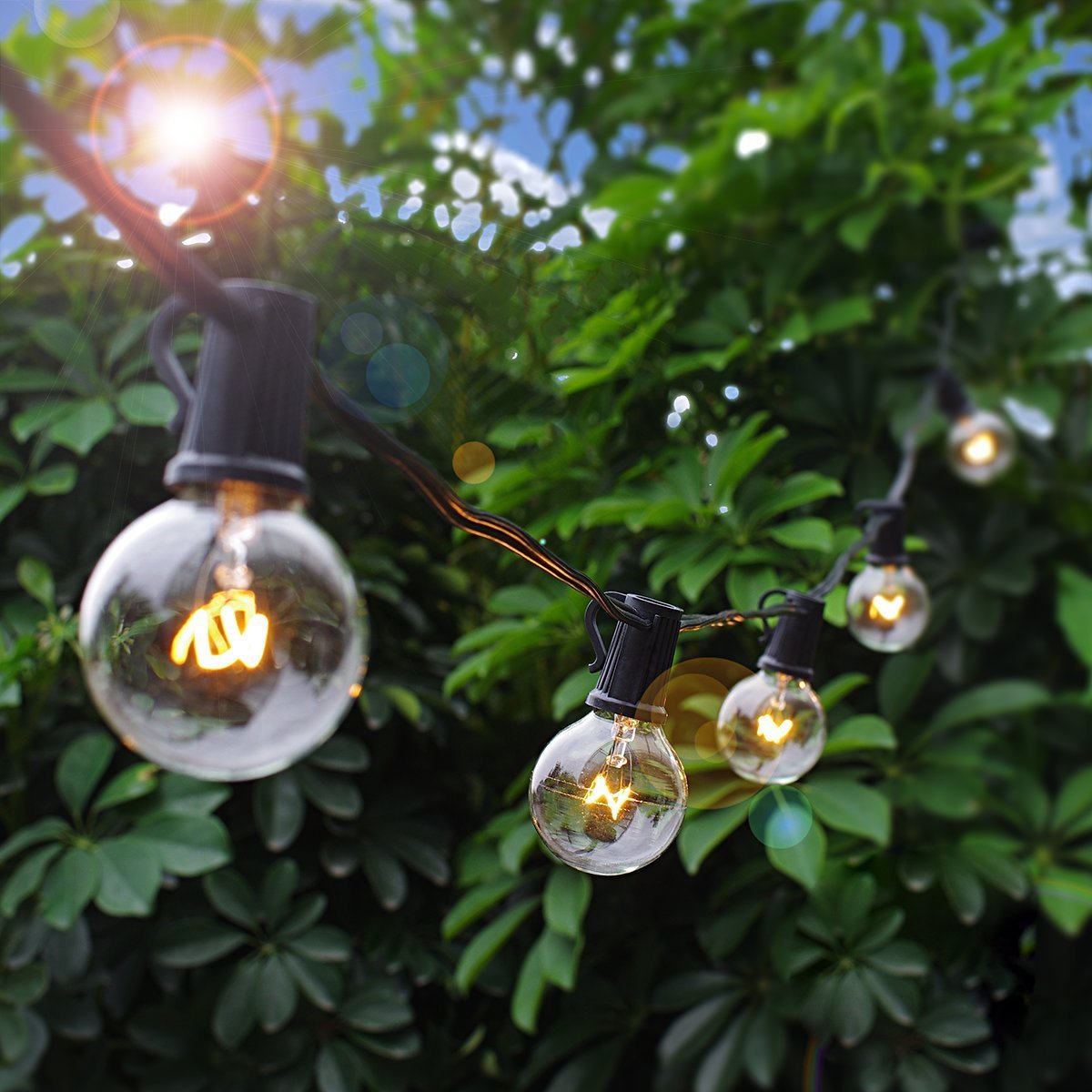 CE ROHS Certified LED Christmas Outdoor String Lights 50000 Hour Working Lifetime