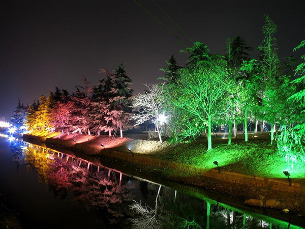 120° IP66 High Power LED Flood Light 10W Led Outdoor Flood Lighting