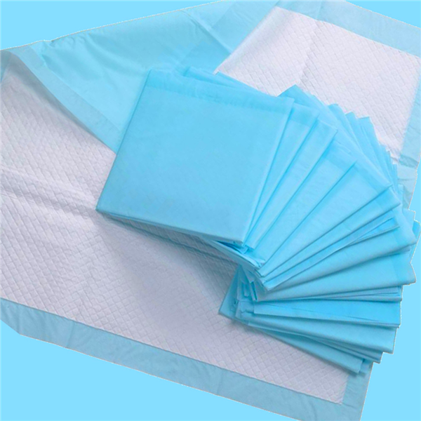 Pet Potty Training Pads For Dogs Disposable Pet Urinal Pad with Dry Surface Absorbency