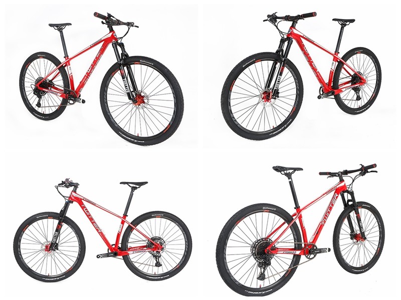 29er STORM2.0 Carbon Mountain Bike SHIMANO ALTUS M2010-27 Speed Groupset