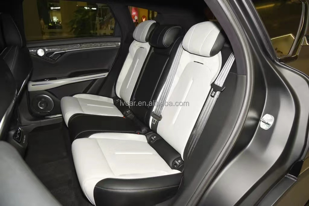 Naturally Aspirated Extended Range Hybrid Electric SUV for Large MPV VOYAH Automobiles