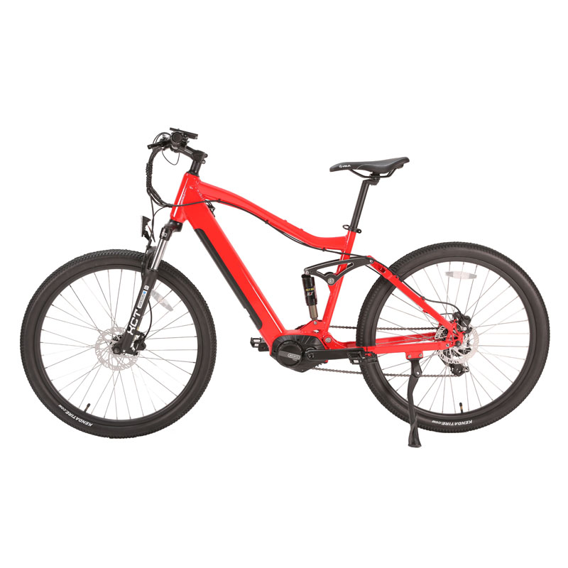 48V 10.5Ah Battery EMB20 Mid Drive Bafang Motor Electric Fat Bike with 700C Wheel Size
