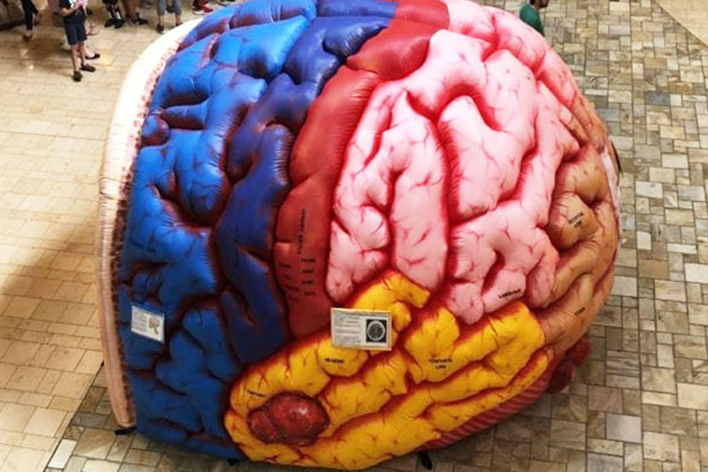 Inflatable Mega Brain Model Organs Exhibition Giant Human Big Brain Tent