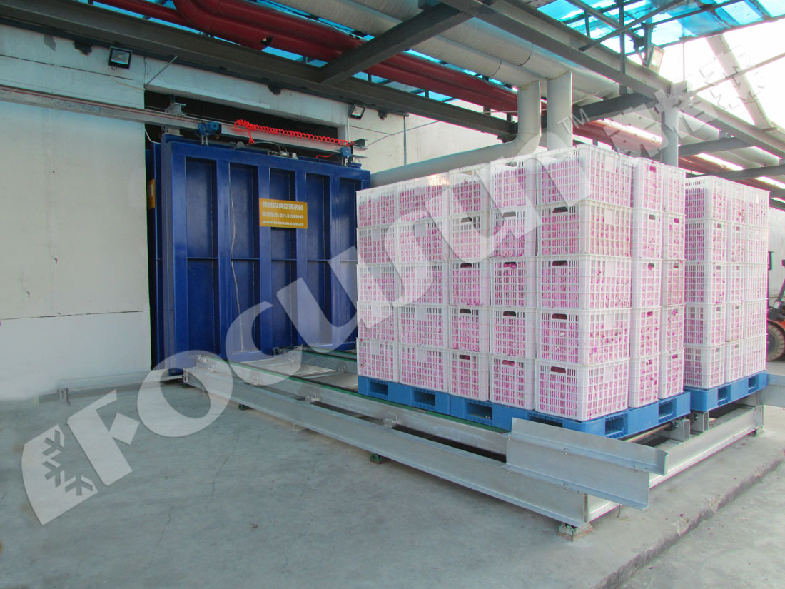 Low Noise Advantage Vacuum Cooling Machine for Mushroom and Cool Fresh Vegetables