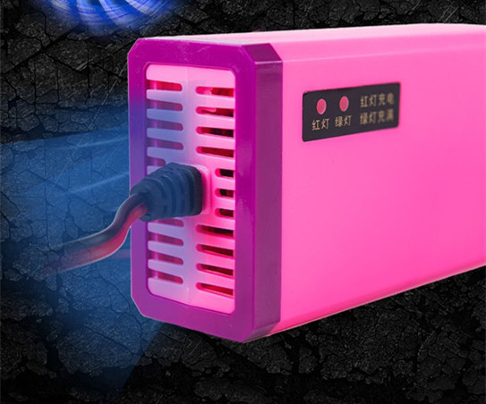 Portable 12V Lead Acid Battery Chargers For Universal EV Golf Car