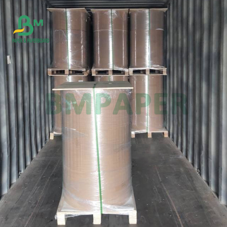 300gsm + 15g PE Coated Kraft Paper For Food Trays Good Stiffness 700 x 1000mm