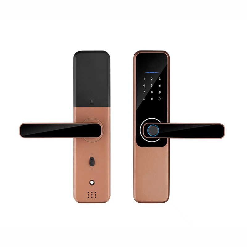 Unlock Method Tuya TTlock Password Fingerprint Smart Locks For Home