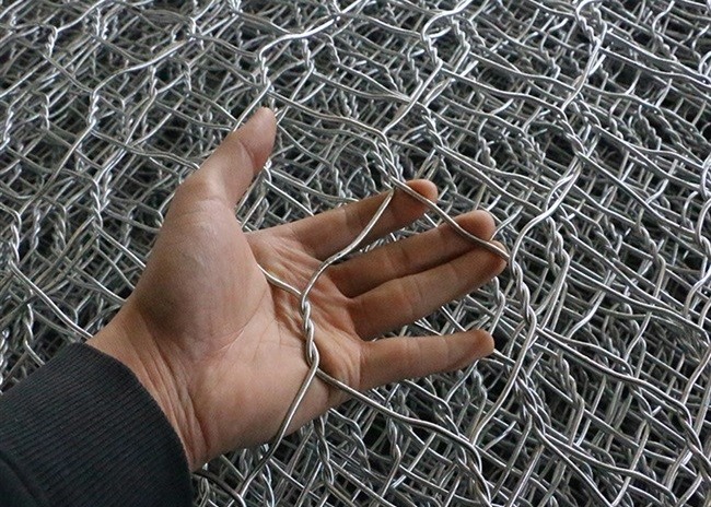 1m Width 3/4" 2.6mm Gauge Rabbit Proof Wire Mesh