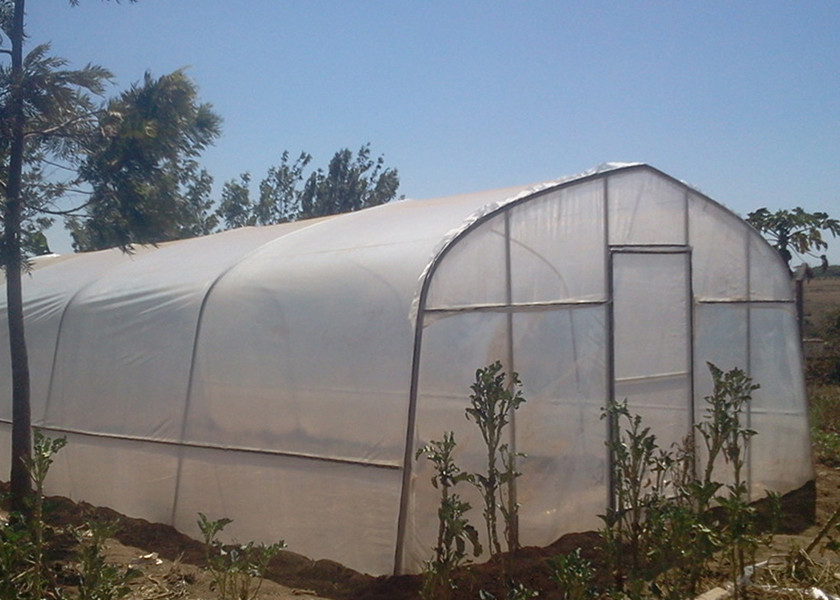 All Season Use Diy Small Greenhouse Walk In Greenhouse Kit For Garden