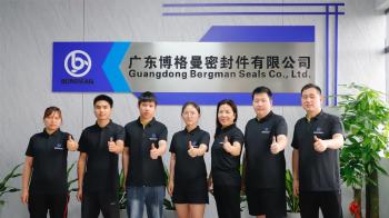 Guangzhou Bogeman Mechanical Seal Co., Ltd.