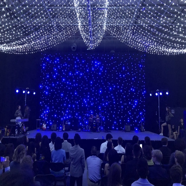Decorative Star Curtain LED Lights Blue White For Wedding Disco Party Club Bar DJ Show